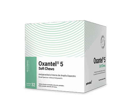Oxantel 5 Soft Chews Pet Medica – Tabletas masticables x32 con Oxibendazole y Praziquante Productos veterinarios Agrovet Market | Envios a toda Guatemala