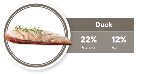 1st Choice Nutrition Hypoallergeni Patc 11 KG Pato y Camote perros alergicos Productos veterinarios 1ST Choice | Envios a toda Guatemala