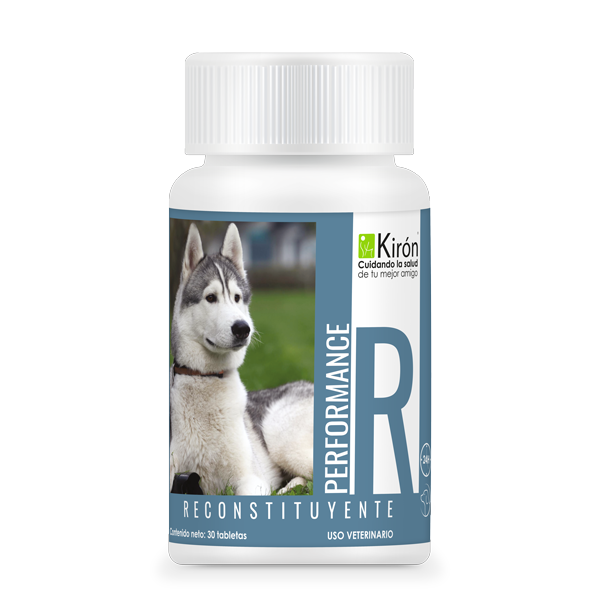 PERFORMANCE Reconstituyente Frasco 30 tabletas   Fortalecedor nutricional para recuperacion animal Productos veterinarios Kiron | Envios a toda Guatemala