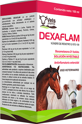 Pet´s Pharma Dexaflam 100ml -Glucocorticoide con actividad antialérgica y antiinflamatoria Productos veterinarios Pets Pharma | Envios a toda Guatemala