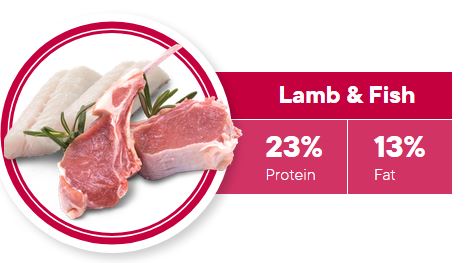 1ST CHOICE DOG FOOD ADULT SKIN AND COAT MEDIUM AND LARGE BREEDS BOLSA 18 KG Productos veterinarios 1ST Choice | Envios a toda Guatemala