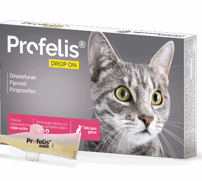 PROFELIS DROP ON CAJA CON 1 PIPETA x 1ML Productos veterinarios Agrovet Market | Envios a toda Guatemala