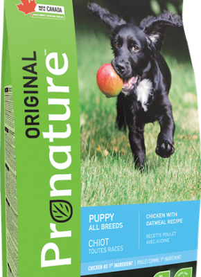 Pronature Original Perro Adulto 44 lb | Concentrado Natural de Pollo para Perros Adultos Productos veterinarios Pronature Original | Envios a toda Guatemala