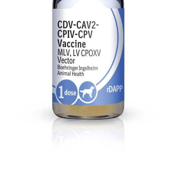 RECOMBITEK C6 Productos veterinarios Boehringer | Envios a toda Guatemala