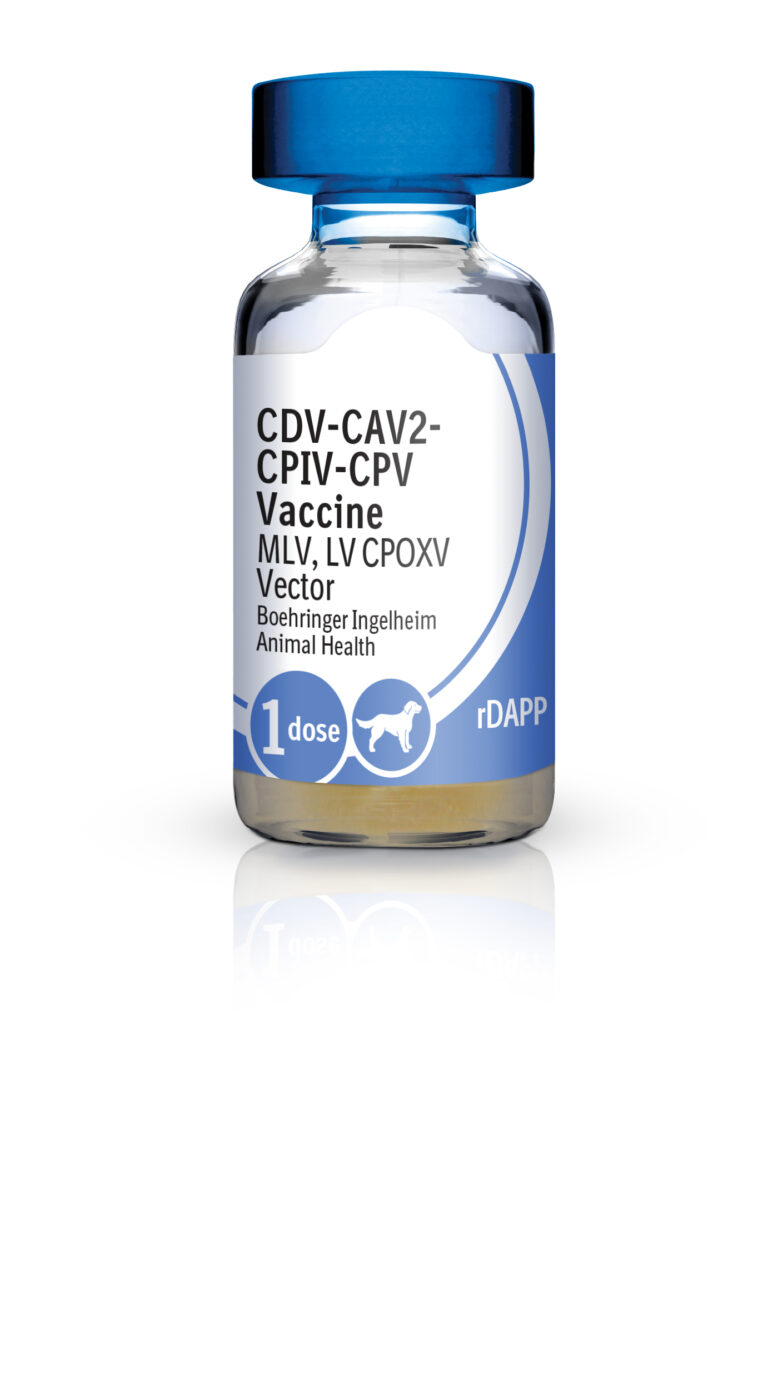 RECOMBITEK C6 Productos veterinarios Boehringer | Envios a toda Guatemala