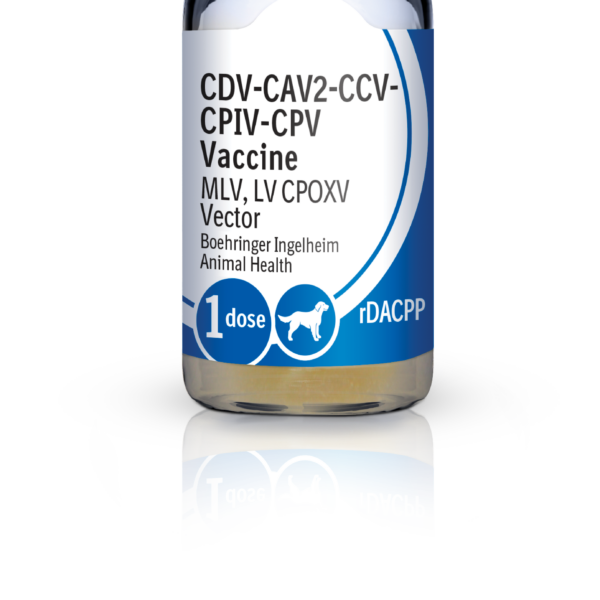 RECOMBITEK C6/CV Productos veterinarios Boehringer | Envios a toda Guatemala