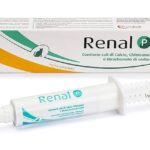 Renal P Pasta 15 ml   Apoyo Renal en Pasta para Perros y Gatos Productos veterinarios Candioli | Envios a toda Guatemala