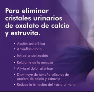 Renalof Pets – Suplemento para Perros y Gatos, Cachorros y Adultos, 150 ml Productos veterinarios Alimentos | Envios a toda Guatemala