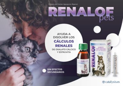 Renalof Pets – Suplemento para Perros y Gatos, Cachorros y Adultos, 150 ml Productos veterinarios Alimentos | Envios a toda Guatemala