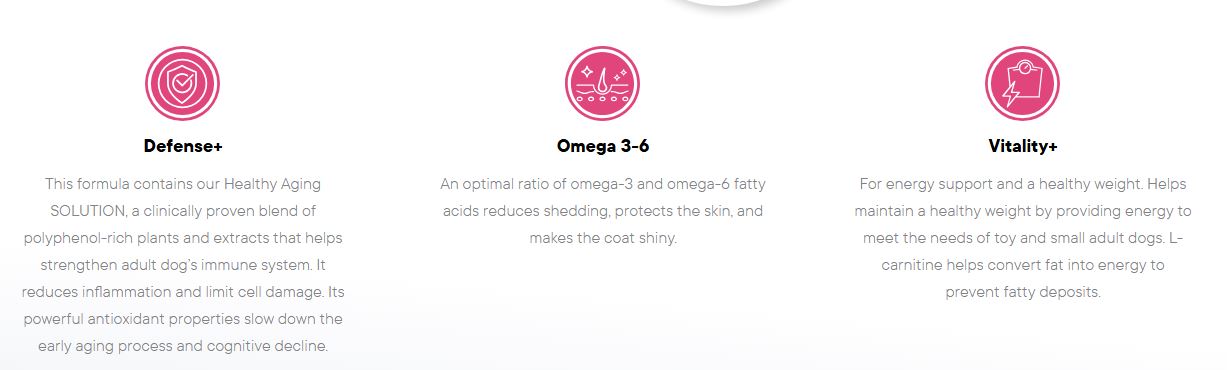 1ST CHOICE DOG FOOD ADULT SKIN AND COAT TOY AND SMALL BOLSA 2 KG. Productos veterinarios 1ST Choice | Envios a toda Guatemala