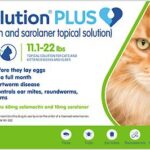 REVOLUTION  CAFE 11.1-22 LBS Productos veterinarios Zoetis | Envios a toda Guatemala
