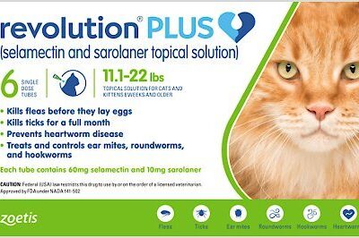 REVOLUTION  CAFE 11.1-22 LBS Productos veterinarios Zoetis | Envios a toda Guatemala
