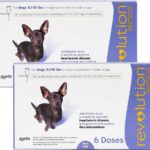 REVOLUTION MORADO 5.6-1 LBS Productos veterinarios Zoetis | Envios a toda Guatemala
