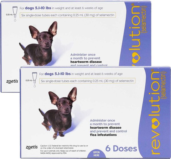 REVOLUTION MORADO 5.6-1 LBS Productos veterinarios Zoetis | Envios a toda Guatemala