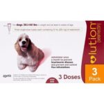 REVOLUTION ROJO 22.1-44 LBS Productos veterinarios Zoetis | Envios a toda Guatemala