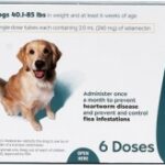 REVOLUTION VERDE 44.1-88 LBS Productos veterinarios Zoetis | Envios a toda Guatemala