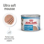 SHN WET STARTER MOUSSE MOTHER y BABY 195G Concentrado para perros Productos veterinarios Royal Canin | Envios a toda Guatemala