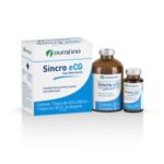 Sincro eCG 30 ml | Estimula la Ovulacion en Hembras Bovinas | Ourofino Productos veterinarios Ourofino | Envios a toda Guatemala
