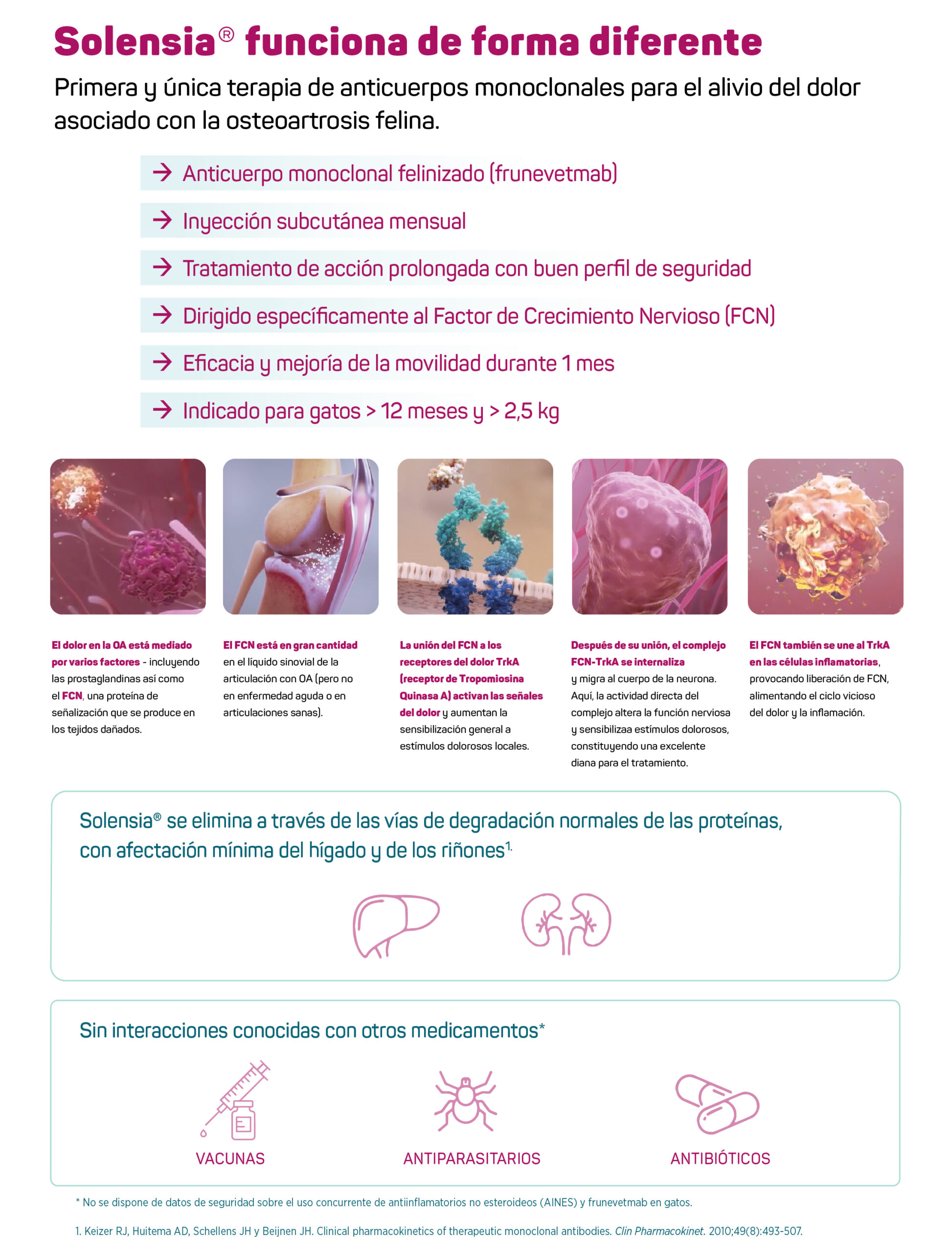 Solensia 7 mg | 2 Viales (Zoetis) | Tratamiento del Dolor por Osteoartritis en Gatos Productos veterinarios Zoetis | Envios a toda Guatemala