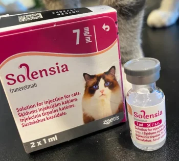 Solensia 7 mg 2 Viales para Gatos | Tratamiento del Dolor por Osteoartritis Felina | Alivio del Dolor Articular | Zoetis Productos veterinarios Zoetis Veterinaria | Envios a toda Guatemala