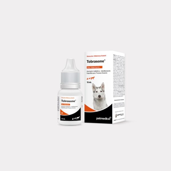 Tobrasone | Frasco de 10 ml | Gotas Oftalmicas Veterinarias Productos veterinarios Medicamentos Veterinarios | Envios a toda Guatemala