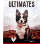 Ultimates Cachorro Pollo y Arroz 5 lbs | Concentrado Premium para Perros en Guatemala Productos veterinarios Pro Pac Ultimates | Envios a toda Guatemala