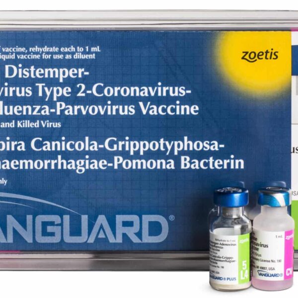 VAC VANGUARD  5 L4 C/CORONA Productos veterinarios Zoetis | Envios a toda Guatemala