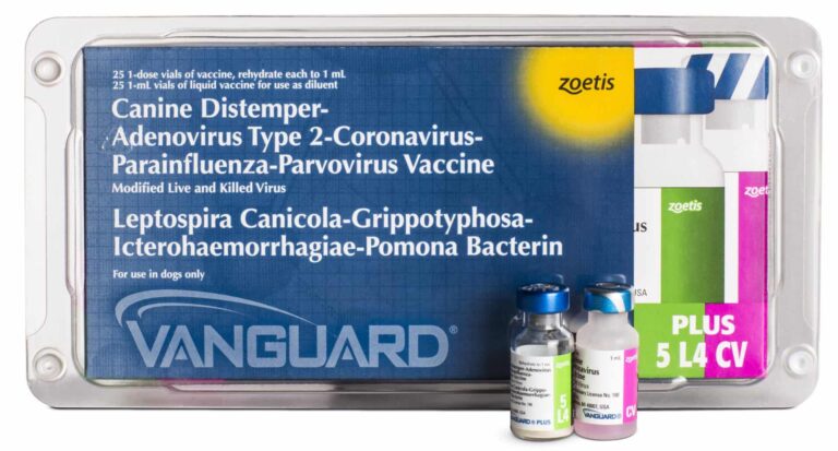 VAC VANGUARD  5 L4 C/CORONA Productos veterinarios Zoetis | Envios a toda Guatemala