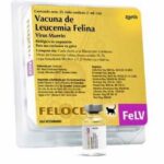 VACUNA FELOCELL FELV (LEUCEMIA) Productos veterinarios Zoetis Veterinaria | Envios a toda Guatemala