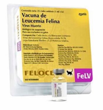 VACUNA FELOCELL FELV (LEUCEMIA) Productos veterinarios Zoetis Veterinaria | Envios a toda Guatemala