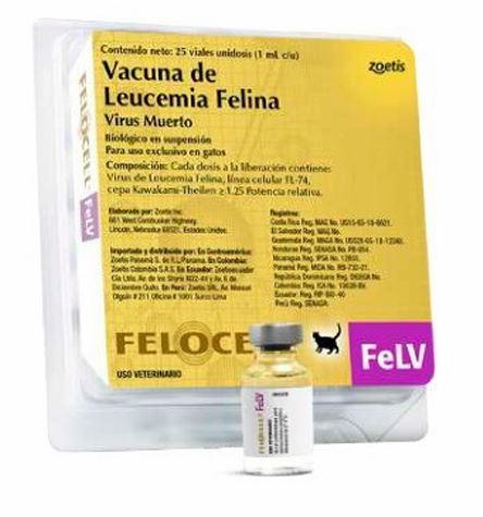 VACUNA FELOCELL FELV (LEUCEMIA) Productos veterinarios Zoetis Veterinaria | Envios a toda Guatemala
