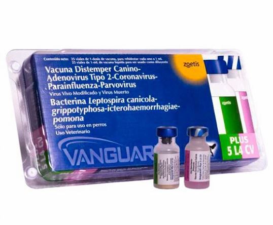 VANGUARD PLUS 5 Productos veterinarios Zoetis Veterinaria | Envios a toda Guatemala