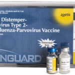 VANGUARD PLUS 5 Productos veterinarios PERROS | Envios a toda Guatemala