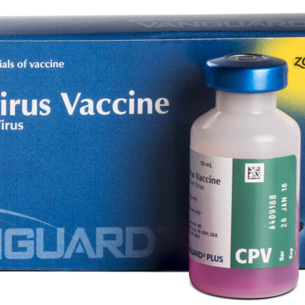 VANGUARD PLUS CPV Productos veterinarios Zoetis | Envios a toda Guatemala