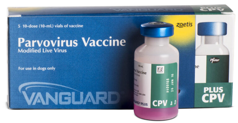 VANGUARD PLUS CPV Productos veterinarios Zoetis | Envios a toda Guatemala