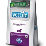 VET NAT CANINE URINARY STRUVITE 2KG Alimento para perros Productos veterinarios Alimentos para perro | Envios a toda Guatemala