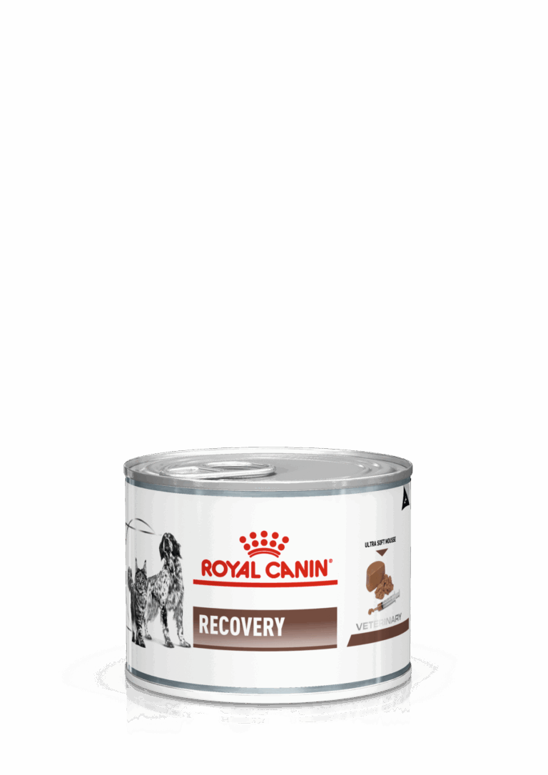 VHN CAN RECOVERY FEL/CAN 195G Concentrado para perros Royal Canin Productos veterinarios Royal Canin | Envios a toda Guatemala