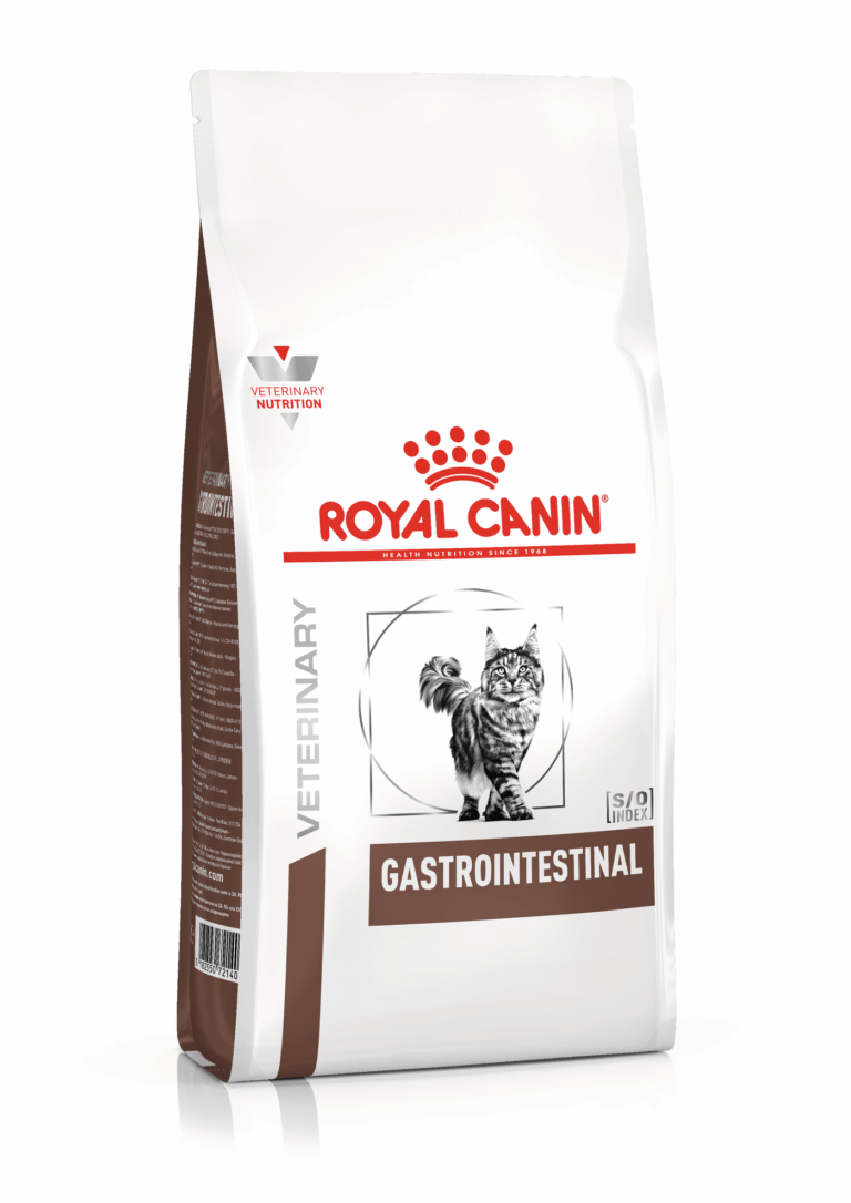 VHN F GASTRO INTESTINAL 400G Concentrado para gatos Royal Canin Productos veterinarios Royal Canin | Envios a toda Guatemala