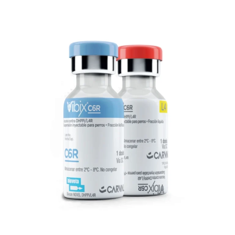 VIBIX C6R X 1 DS+DILUENTE Productos veterinarios Bayer | Envios a toda Guatemala