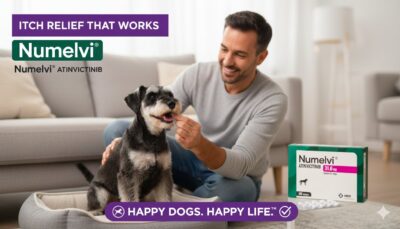 Numelvi 7.2 mg 30 tabletas Alivio de la dermatitis alergica y la picazon en perros Farmacia.pet Productos veterinarios MSD | Envios a toda Guatemala