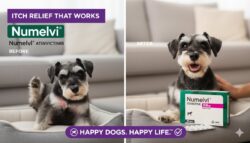 Numelvi 4.8 mg 30 tabletas Tratamiento del prurito y la inflamación en perros Productos veterinarios MSD | Envios a toda Guatemala