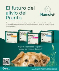 Numelvi 4.8 mg 30 tabletas Tratamiento del prurito y la inflamación en perros Productos veterinarios MSD | Envios a toda Guatemala