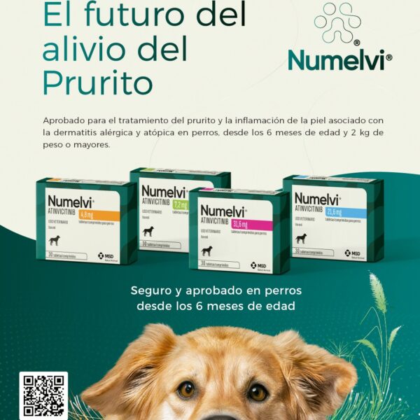 Numelvi 4.8 mg 30 tabletas Tratamiento del prurito y la inflamación en perros Productos veterinarios MSD | Envios a toda Guatemala