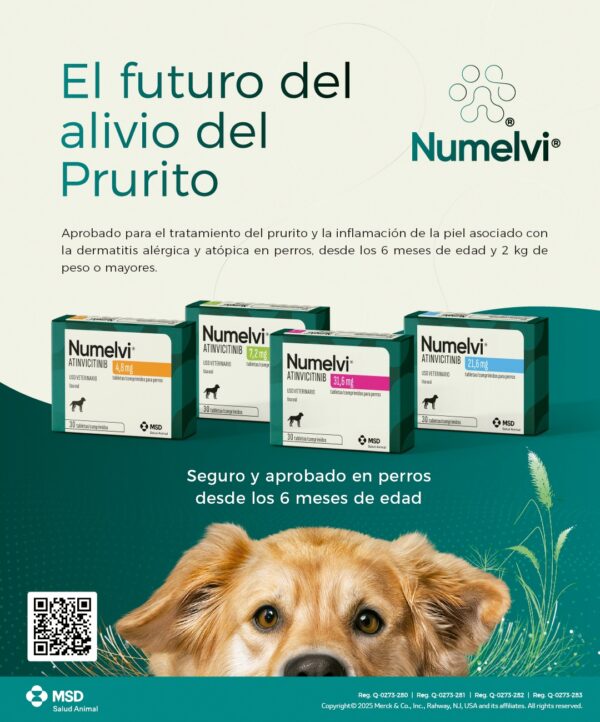 Numelvi 4.8 mg 30 tabletas Tratamiento del prurito y la inflamación en perros Productos veterinarios MSD | Envios a toda Guatemala