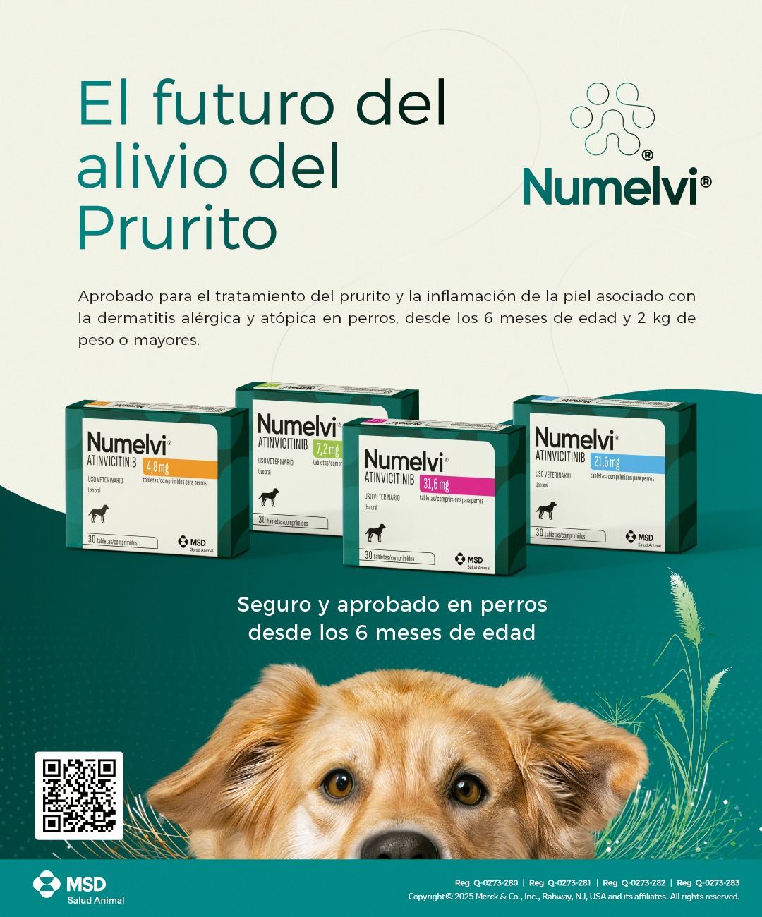 Numelvi en Guatemala: el tratamiento eficaz contra la dermatitis alérgica en perros Productos veterinarios Noticias veterinarias | Envios a toda Guatemala