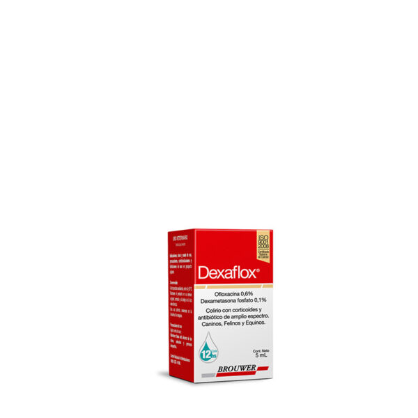 DEXAFLOX X 5 ML Colirio Ofloxacina Dexametasona Brouwer Productos veterinarios Brouwer | Envios a toda Guatemala
