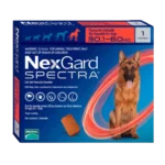 NEXGARD SPECTRA XL Contra pulgas y garrapatas Tableta Masticable Afoxolaner Productos veterinarios Boehringer Ingelheim | Envios a toda Guatemala