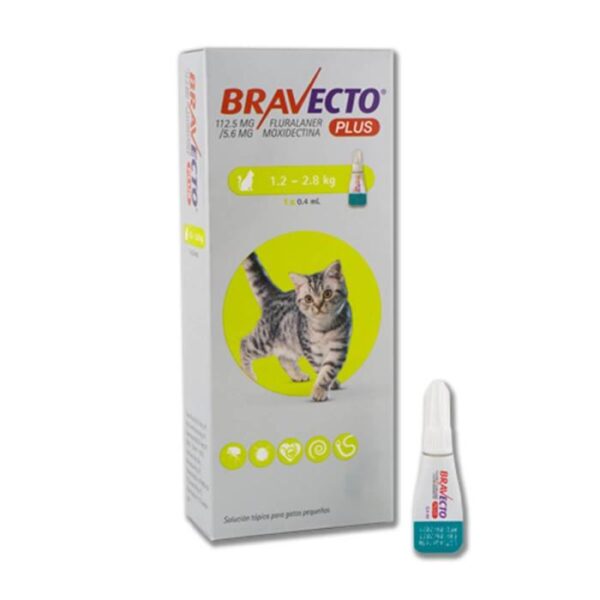 Bravecto Plus Cat 112.5 mg 6.25 a 12.5 Kg | Protección contra Pulgas y Parásitos para Gatos en Guatemala Productos veterinarios  | Envios a toda Guatemala