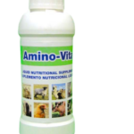 Amino-vita	Frasco 1L