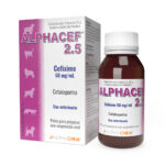 Alphacef 1g Productos veterinarios  | Envios a toda Guatemala
